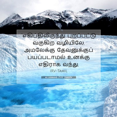 Picture 07 - உபாகமம் 25:17 TAMIRV - “எகிப்திலிருந்து - Bible Verse Picture