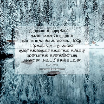 Picture 07 - உபாகமம் 25:2 TAMIRV - குற்றவாளி - Bible Verse Picture