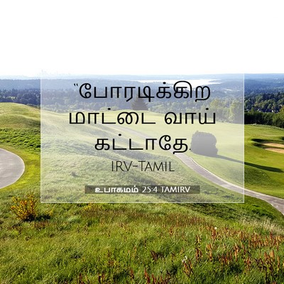 Picture 07 - உபாகமம் 25:4 TAMIRV - “போரடிக்கிற - Bible Verse Picture