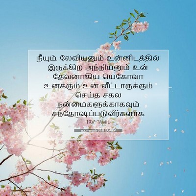 Picture 07 - உபாகமம் 26:11 TAMIRV - நீயும், லேவியனும் - Bible Verse Picture