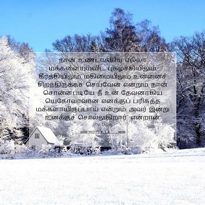 Picture 07 - உபாகமம் 26:19 TAMIRV - நான் உண்டாக்கிய - Bible Verse Picture