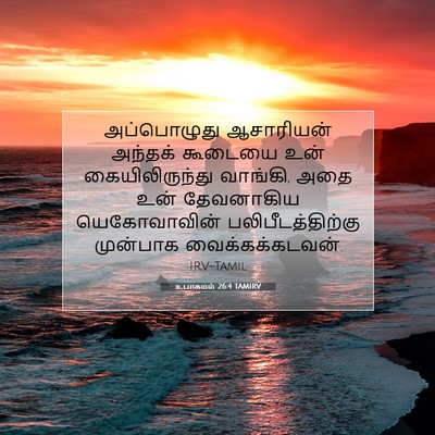 Picture 07 - உபாகமம் 26:4 TAMIRV - அப்பொழுது - Bible Verse Picture