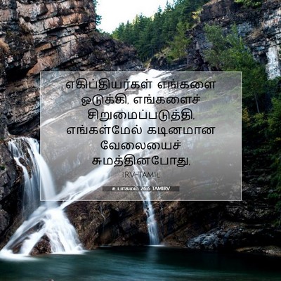 Picture 07 - உபாகமம் 26:6 TAMIRV - எகிப்தியர்கள் - Bible Verse Picture