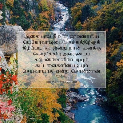 Picture 07 - உபாகமம் 27:10 TAMIRV - ஆகையால் நீ உன் - Bible Verse Picture
