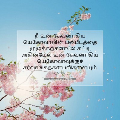 Picture 07 - உபாகமம் 27:6 TAMIRV - நீ உன் தேவனாகிய - Bible Verse Picture