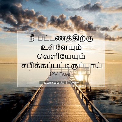Picture 07 - உபாகமம் 28:16 TAMIRV - நீ பட்டணத்திற்கு - Bible Verse Picture