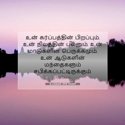 Picture 07 - உபாகமம் 28:18 TAMIRV - உன் கர்ப்பத்தின் - Bible Verse Picture