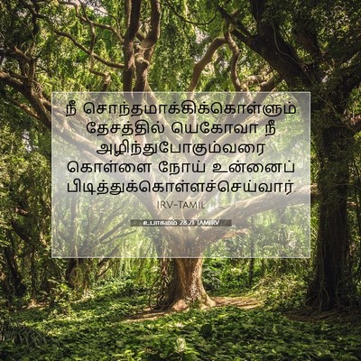 Picture 07 - உபாகமம் 28:21 TAMIRV - நீ - Bible Verse Picture
