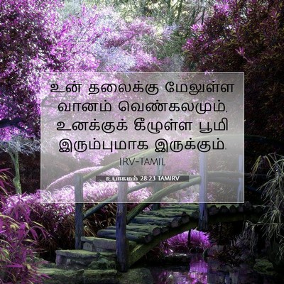 Picture 07 - உபாகமம் 28:23 TAMIRV - உன் தலைக்கு - Bible Verse Picture
