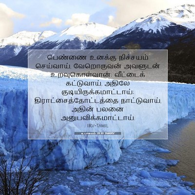 Picture 07 - உபாகமம் 28:30 TAMIRV - பெண்ணை உனக்கு - Bible Verse Picture