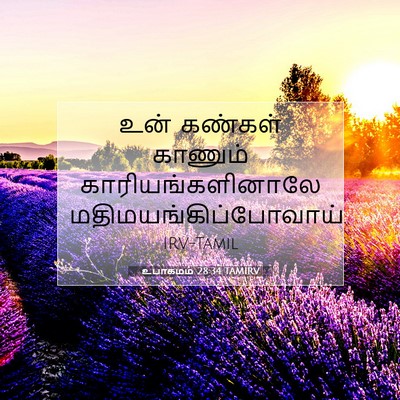 Picture 07 - உபாகமம் 28:34 TAMIRV - உன் கண்கள் காணும் - Bible Verse Picture