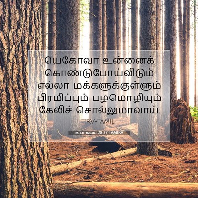 Picture 07 - உபாகமம் 28:37 TAMIRV - யெகோவா உன்னைக் - Bible Verse Picture