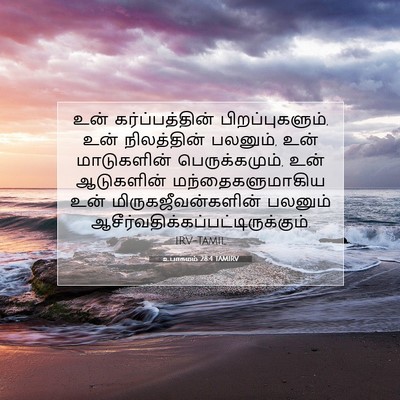 Picture 07 - உபாகமம் 28:4 TAMIRV - உன் கர்ப்பத்தின் - Bible Verse Picture