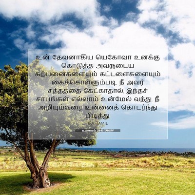 Picture 07 - உபாகமம் 28:45 TAMIRV - உன் தேவனாகிய - Bible Verse Picture