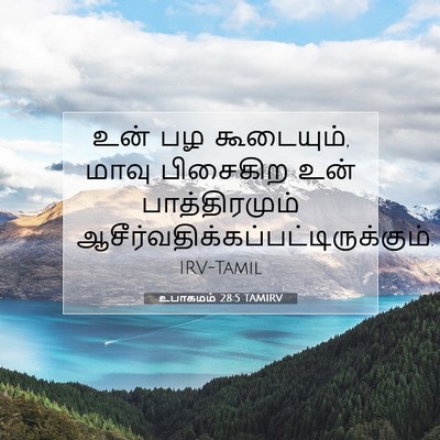 Picture 07 - உபாகமம் 28:5 TAMIRV - உன் பழ கூடையும், - Bible Verse Picture