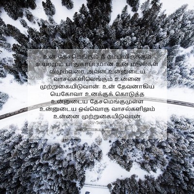Picture 07 - உபாகமம் 28:52 TAMIRV - உன் தேசமெங்கும் - Bible Verse Picture