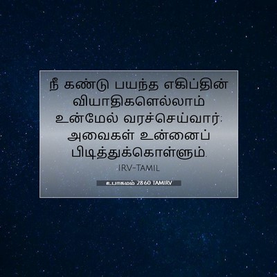 Picture 07 - உபாகமம் 28:60 TAMIRV - நீ கண்டு பயந்த - Bible Verse Picture