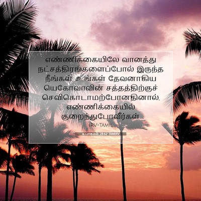Picture 07 - உபாகமம் 28:62 TAMIRV - எண்ணிக்கையிலே - Bible Verse Picture