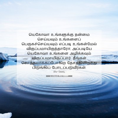 Picture 07 - உபாகமம் 28:63 TAMIRV - யெகோவா உங்களுக்கு - Bible Verse Picture