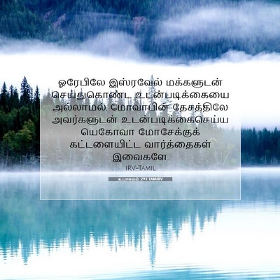 Picture 07 - உபாகமம் 29:1 TAMIRV - ஓரேபிலே இஸ்ரவேல் - Bible Verse Picture