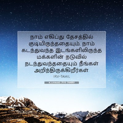 Picture 07 - உபாகமம் 29:16 TAMIRV - நாம் எகிப்து - Bible Verse Picture