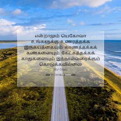 Picture 07 - உபாகமம் 29:4 TAMIRV - என்றாலும் யெகோவா - Bible Verse Picture