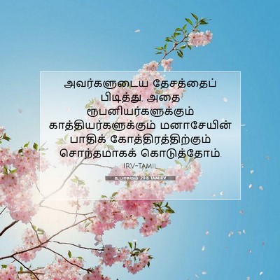 Picture 07 - உபாகமம் 29:8 TAMIRV - அவர்களுடைய - Bible Verse Picture