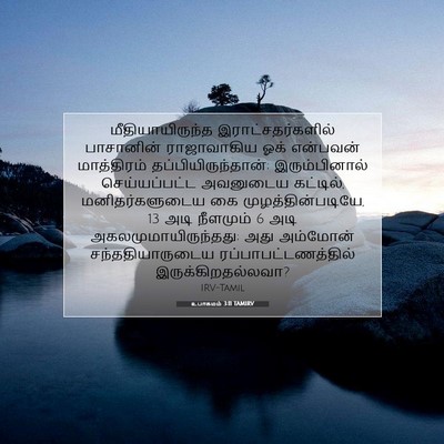 Picture 07 - உபாகமம் 3:11 TAMIRV - மீதியாயிருந்த - Bible Verse Picture