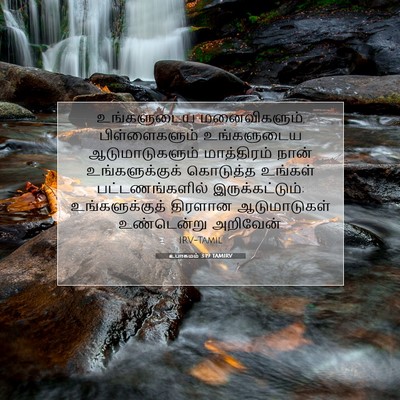 Picture 07 - உபாகமம் 3:19 TAMIRV - உங்களுடைய - Bible Verse Picture