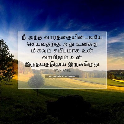 Picture 07 - உபாகமம் 30:14 TAMIRV - நீ அந்த - Bible Verse Picture