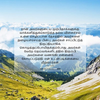 Picture 07 - உபாகமம் 31:20 TAMIRV - நான் அவர்களுடைய - Bible Verse Picture