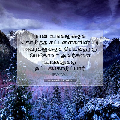 Picture 07 - உபாகமம் 31:5 TAMIRV - நான் உங்களுக்குக் - Bible Verse Picture