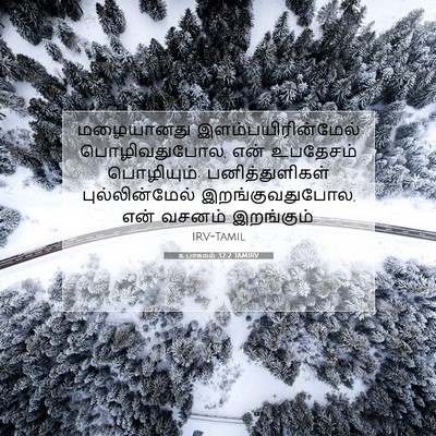 Picture 07 - உபாகமம் 32:2 TAMIRV - மழையானது - Bible Verse Picture