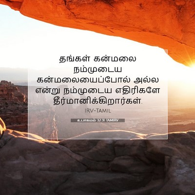 Picture 07 - உபாகமம் 32:31 TAMIRV - தங்கள் கன்மலை - Bible Verse Picture