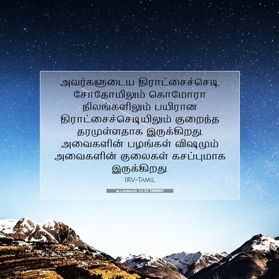 Picture 07 - உபாகமம் 32:32 TAMIRV - அவர்களுடைய - Bible Verse Picture