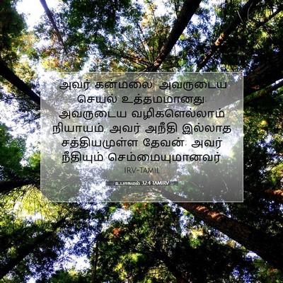 Picture 07 - உபாகமம் 32:4 TAMIRV - “அவர் கன்மலை; - Bible Verse Picture