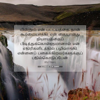 Picture 07 - உபாகமம் 32:41 TAMIRV - மின்னும் என் - Bible Verse Picture