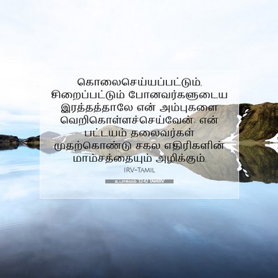 Picture 07 - உபாகமம் 32:42 TAMIRV -  - Bible Verse Picture