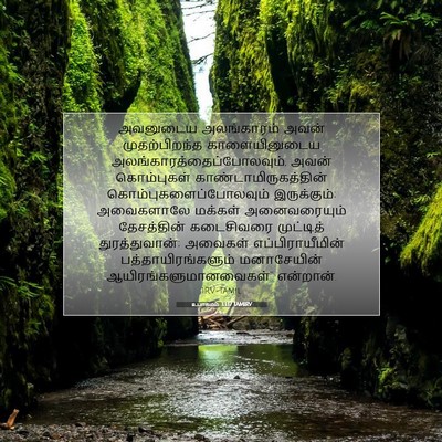Picture 07 - உபாகமம் 33:17 TAMIRV - அவனுடைய அலங்காரம் - Bible Verse Picture