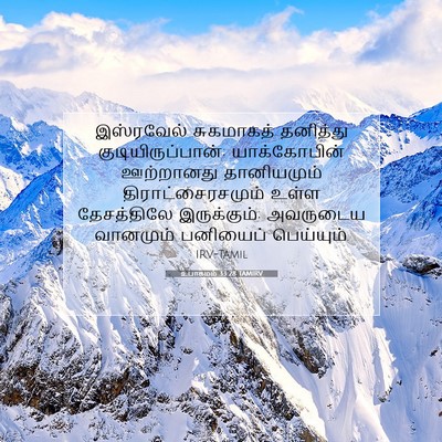 Picture 07 - உபாகமம் 33:28 TAMIRV - இஸ்ரவேல் சுகமாகத் - Bible Verse Picture