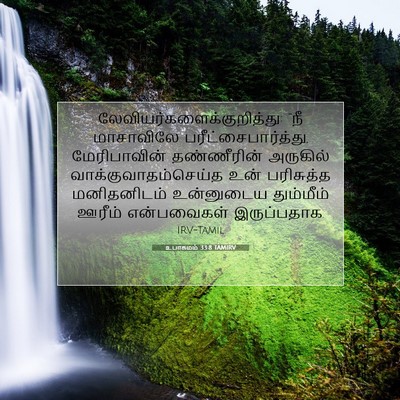Picture 07 - உபாகமம் 33:8 TAMIRV -  - Bible Verse Picture