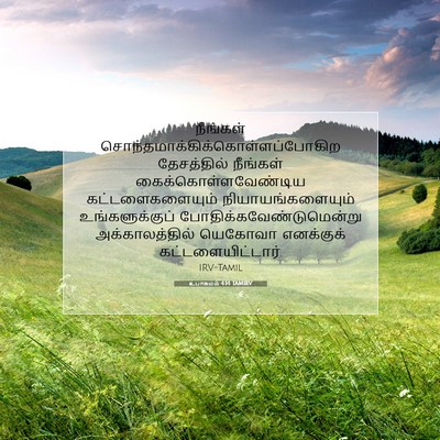 Picture 07 - உபாகமம் 4:14 TAMIRV - நீங்கள் - Bible Verse Picture