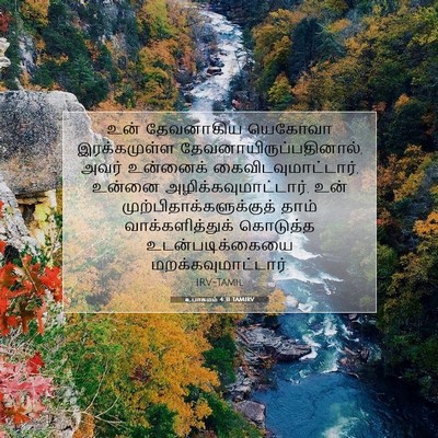 Picture 07 - உபாகமம் 4:31 TAMIRV - உன் தேவனாகிய - Bible Verse Picture