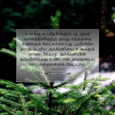 Picture 07 - உபாகமம் 4:36 TAMIRV - உனக்கு - Bible Verse Picture