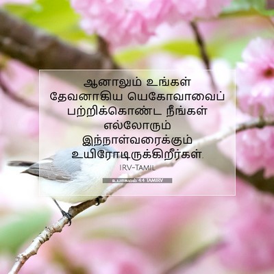 Picture 07 - உபாகமம் 4:4 TAMIRV - ஆனாலும் உங்கள் - Bible Verse Picture