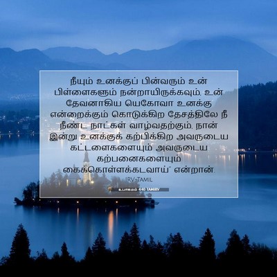Picture 07 - உபாகமம் 4:40 TAMIRV - நீயும் உனக்குப் - Bible Verse Picture