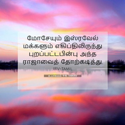 Picture 07 - உபாகமம் 4:46 TAMIRV - மோசேயும் இஸ்ரவேல் - Bible Verse Picture