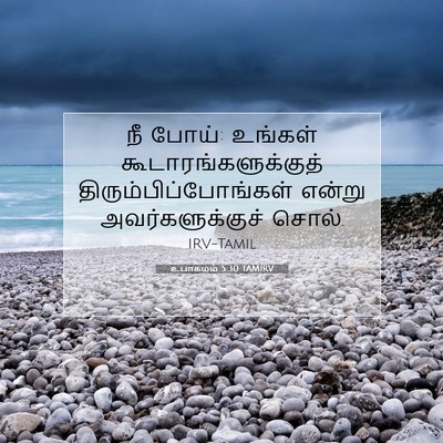 Picture 07 - உபாகமம் 5:30 TAMIRV - நீ போய்: உங்கள் - Bible Verse Picture