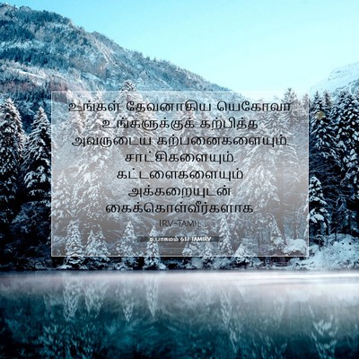 Picture 07 - உபாகமம் 6:17 TAMIRV - உங்கள் தேவனாகிய - Bible Verse Picture