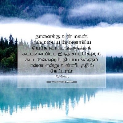 Picture 07 - உபாகமம் 6:20 TAMIRV - நாளைக்கு உன் மகன்: - Bible Verse Picture